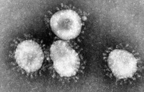 Aktuelle Covid-19 Studien: Virus natürlichen  Ursprungs, Risikogruppe Raucher