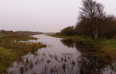 Droughts will force Congo peatland to release billions of tons of carbon