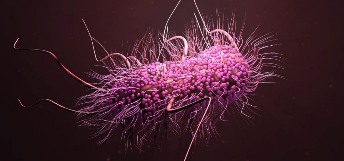 Bacteriile din gurÄ pot agrava cancerul colo-rectal
