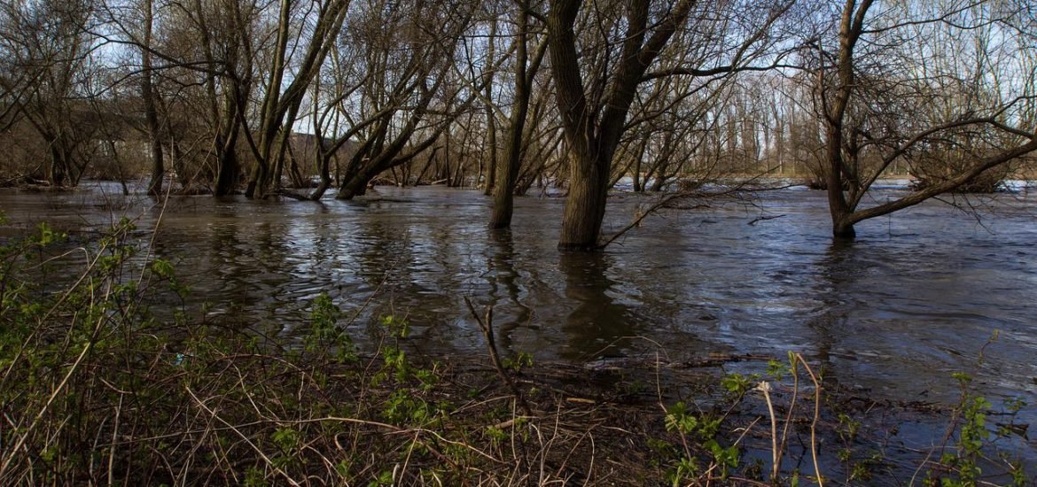 Microplastics in the Rhine floodplains can be carried into deep layers of soil