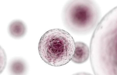 Stem cell transplantation effectively reverses multiple sclerosis in some patients