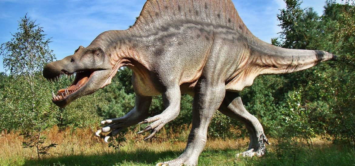 Fossils discovered in Spain help scientists identify new dinosaur species