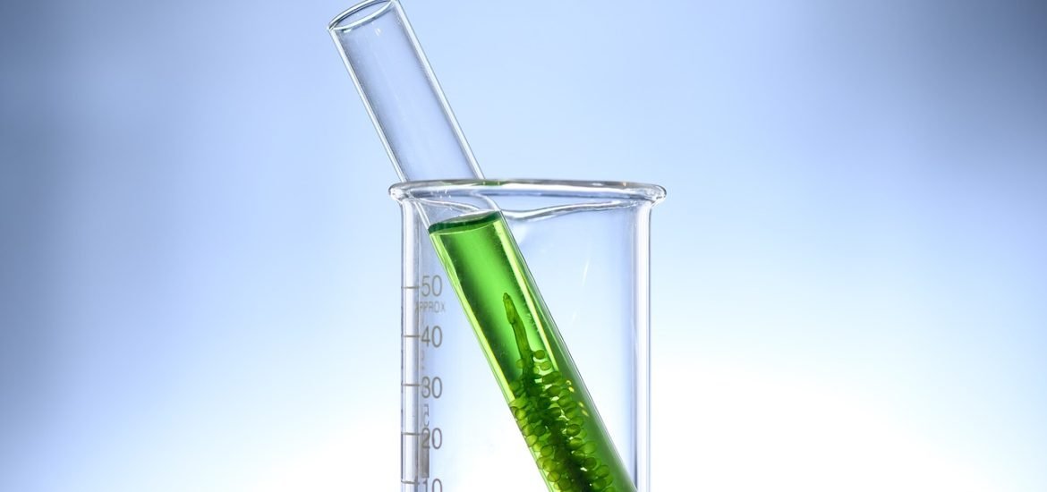 How algae learn to cope with environmental changes