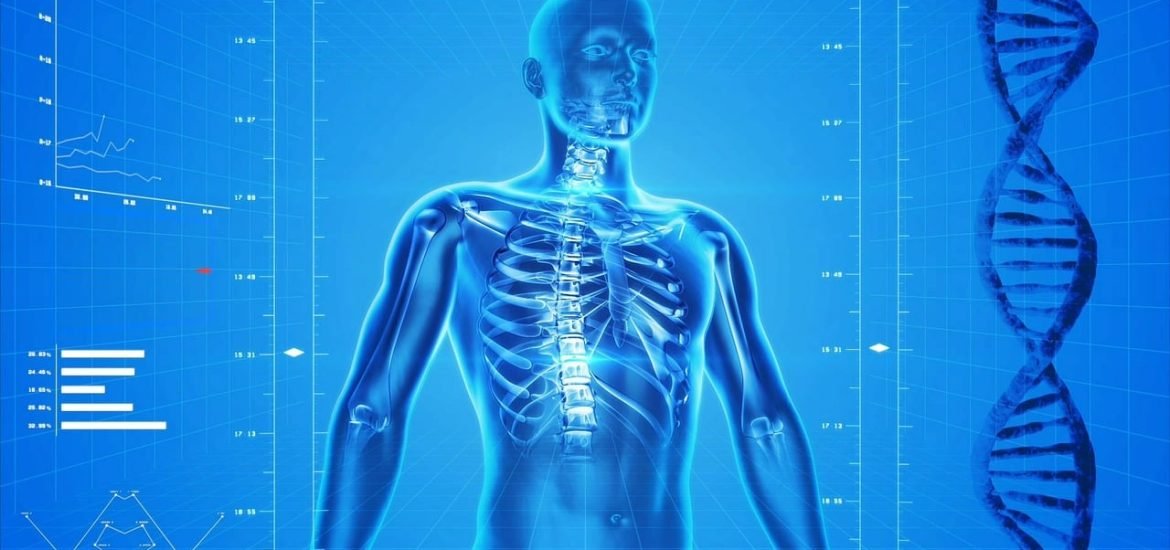 New web-based cell atlas to help researchers