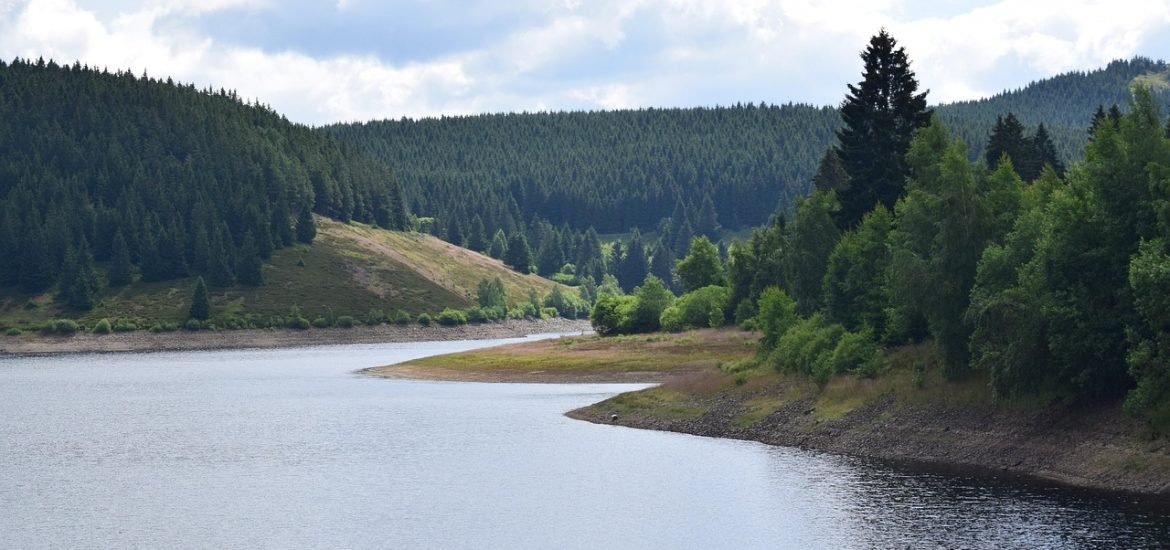 Removal of the Olloki dam in the Leitzaran River (Spain) is successful