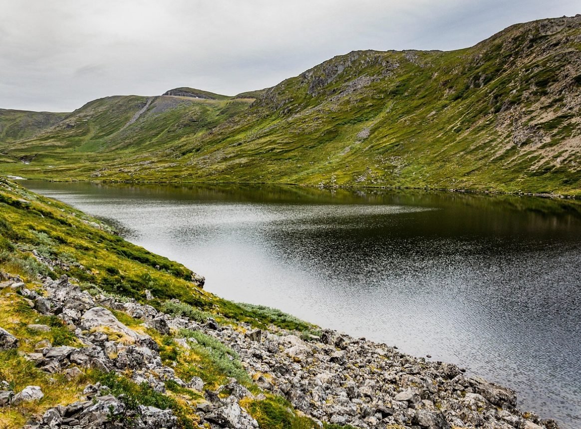 Oxygen is getting too low in inland waters