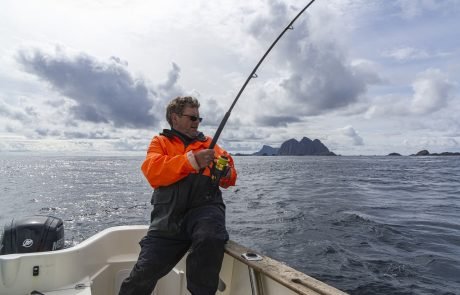 Many species of fish we eat are crucial to keep a healthy seabed