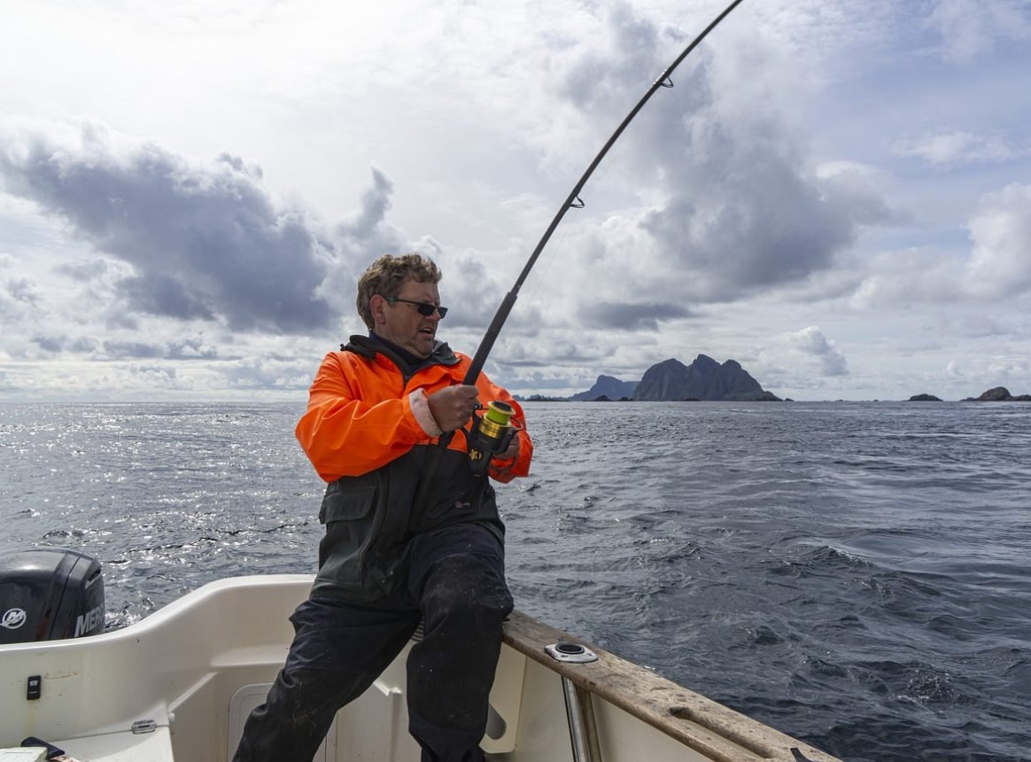 Many species of fish we eat are crucial to keep a healthy seabed