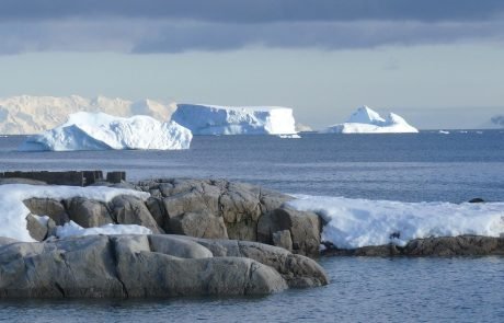 Krill fishing in the Southern Ocean interferes with wildlife
