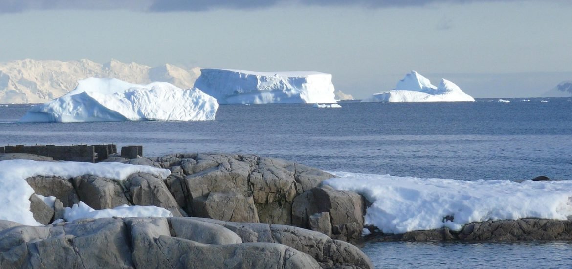 Krill fishing in the Southern Ocean interferes with wildlife