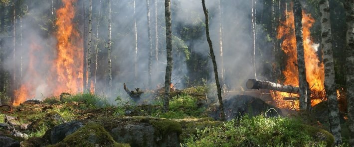 Heatwaves overwhelm nature’s mechanisms to cope with wildfires