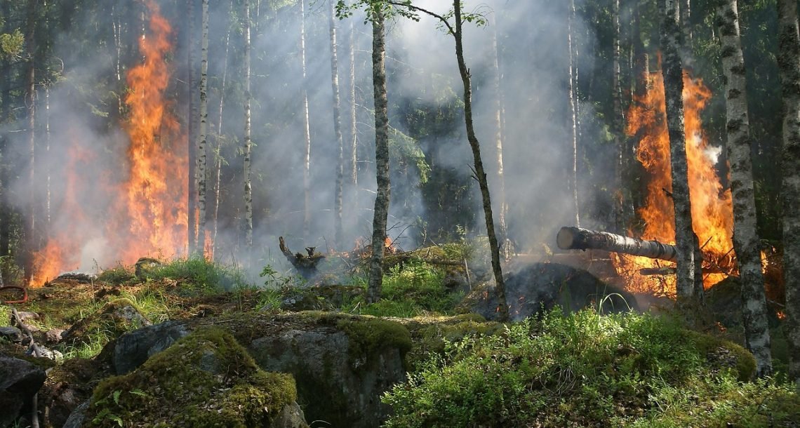 Heatwaves overwhelm nature’s mechanisms to cope with wildfires