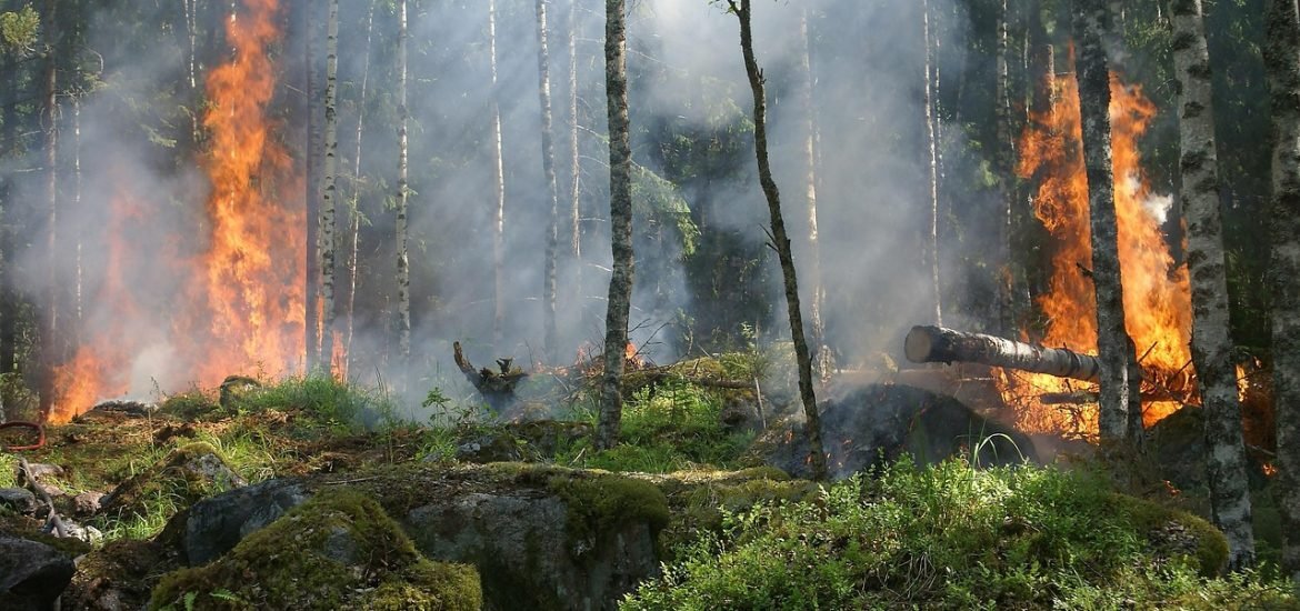 Heatwaves overwhelm nature’s mechanisms to cope with wildfires