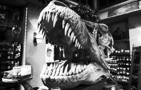 Dinosaur teeth to reveal Earth’s climate