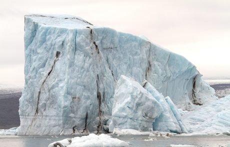 Researchers Develop a New Way to Predict When Ecosystems Are About to Tip