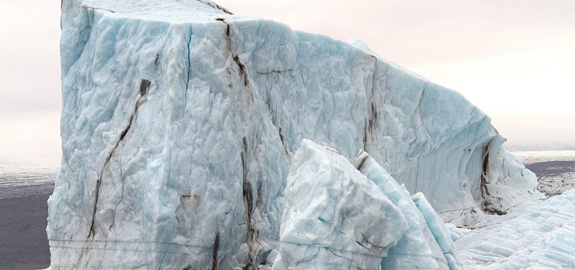 Researchers Develop a New Way to Predict When Ecosystems Are About to Tip