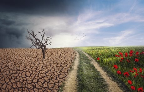Most People Think Climate Change Will Happen to Someone Else
