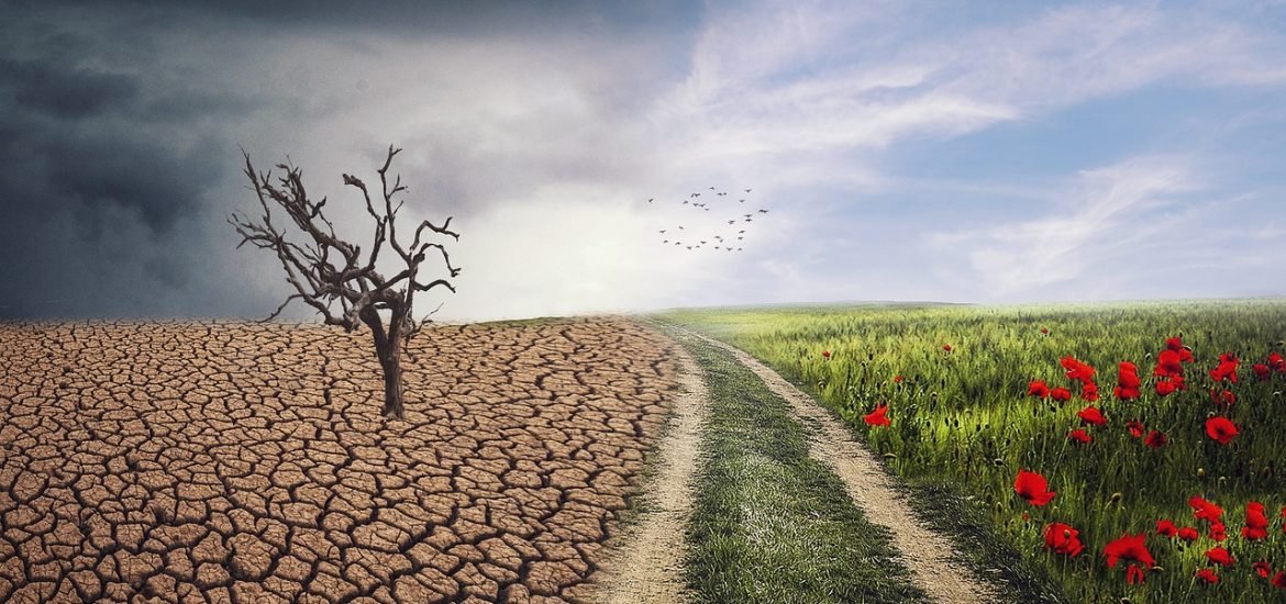 Most People Think Climate Change Will Happen to Someone Else
