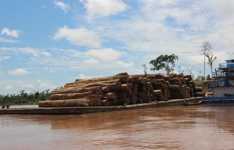 The Amazon Is Burning and Our Policies Aren’t Keeping Up
