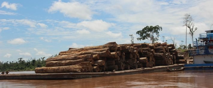 The Amazon Is Burning and Our Policies Aren’t Keeping Up