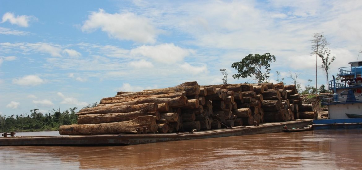 The Amazon Is Burning and Our Policies Aren’t Keeping Up