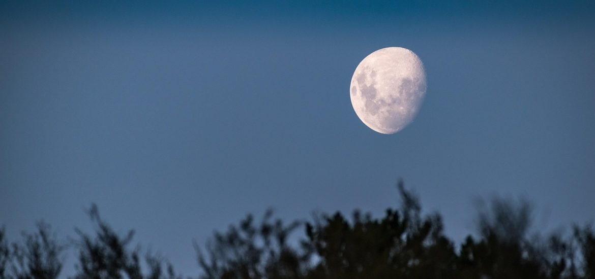 Nocturnal Birds Live by the Light of the Moon