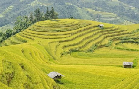 Traditional Farming Can Feed People, Protect Nature, and Preserve Culture All at Once