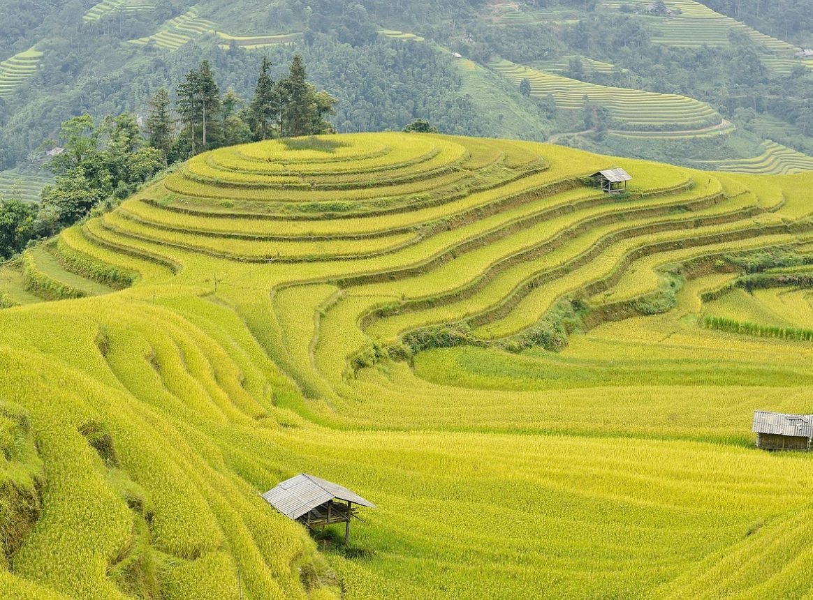 Traditional Farming Can Feed People, Protect Nature, and Preserve Culture All at Once