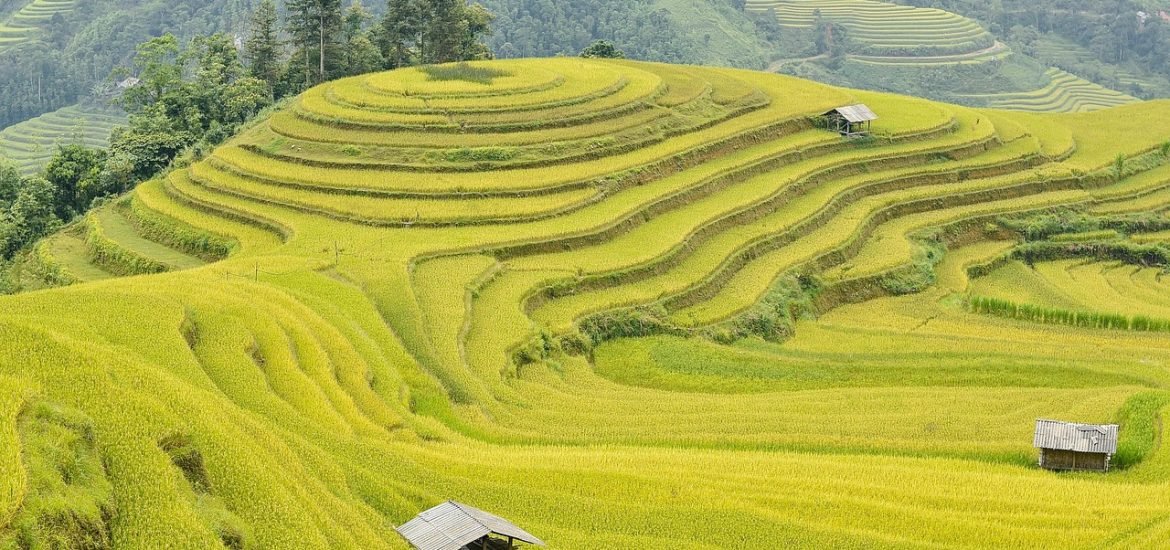Traditional Farming Can Feed People, Protect Nature, and Preserve Culture All at Once