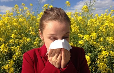 New Guidelines for Fighting Allergies Look Beyond the Medicine Cabinet