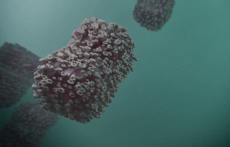 Watching Viruses Build Themselves