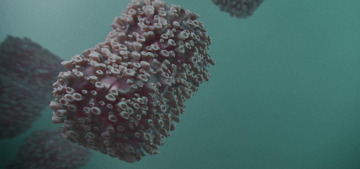 Watching Viruses Build Themselves