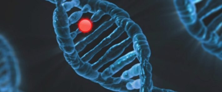 Germany’s First CRISPR Gene Therapy Patient Is Thriving