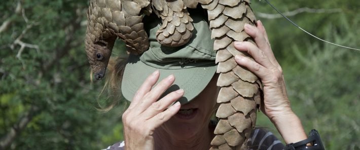AI May be Able to Help Curb the Illegal Wildlife Trade
