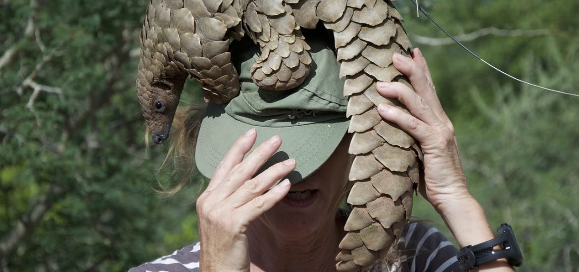AI May be Able to Help Curb the Illegal Wildlife Trade