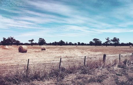 England’s Drought Deepens as Government Declares Severe Status Across the South