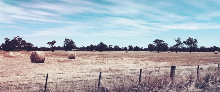 England’s Drought Deepens as Government Declares Severe Status Across the South