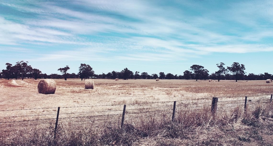 England’s Drought Deepens as Government Declares Severe Status Across the South