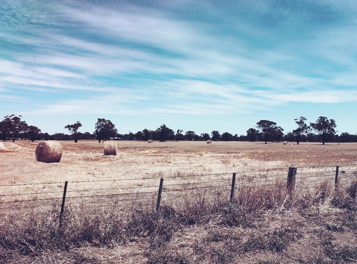 England’s Drought Deepens as Government Declares Severe Status Across the South