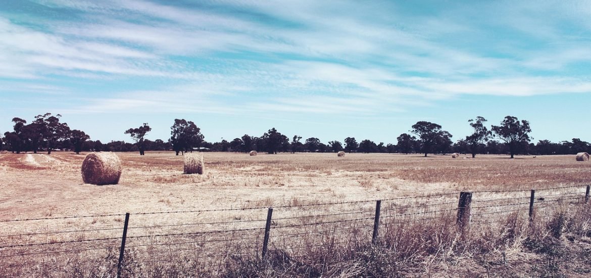 England’s Drought Deepens as Government Declares Severe Status Across the South