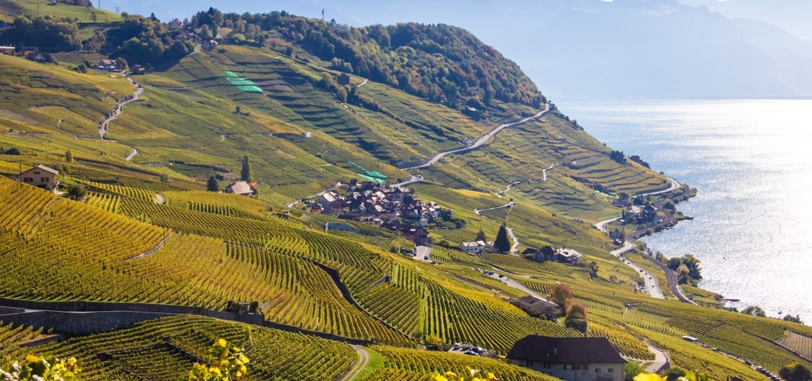 Votation du 13 juin : les arguments d’un viticulteur suisse