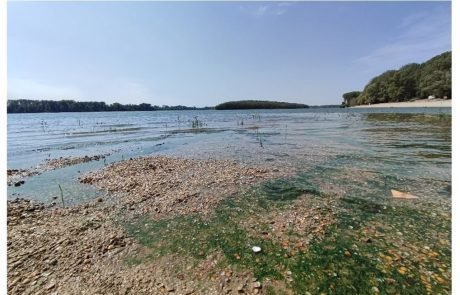 How does drought propagate along a European river? Lessons from the Danube