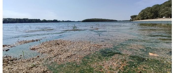 How does drought propagate along a European river? Lessons from the Danube