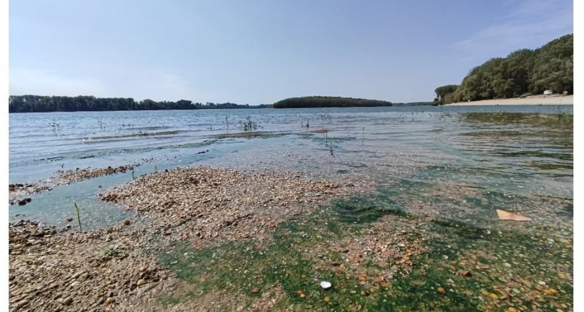 How does drought propagate along a European river? Lessons from the Danube