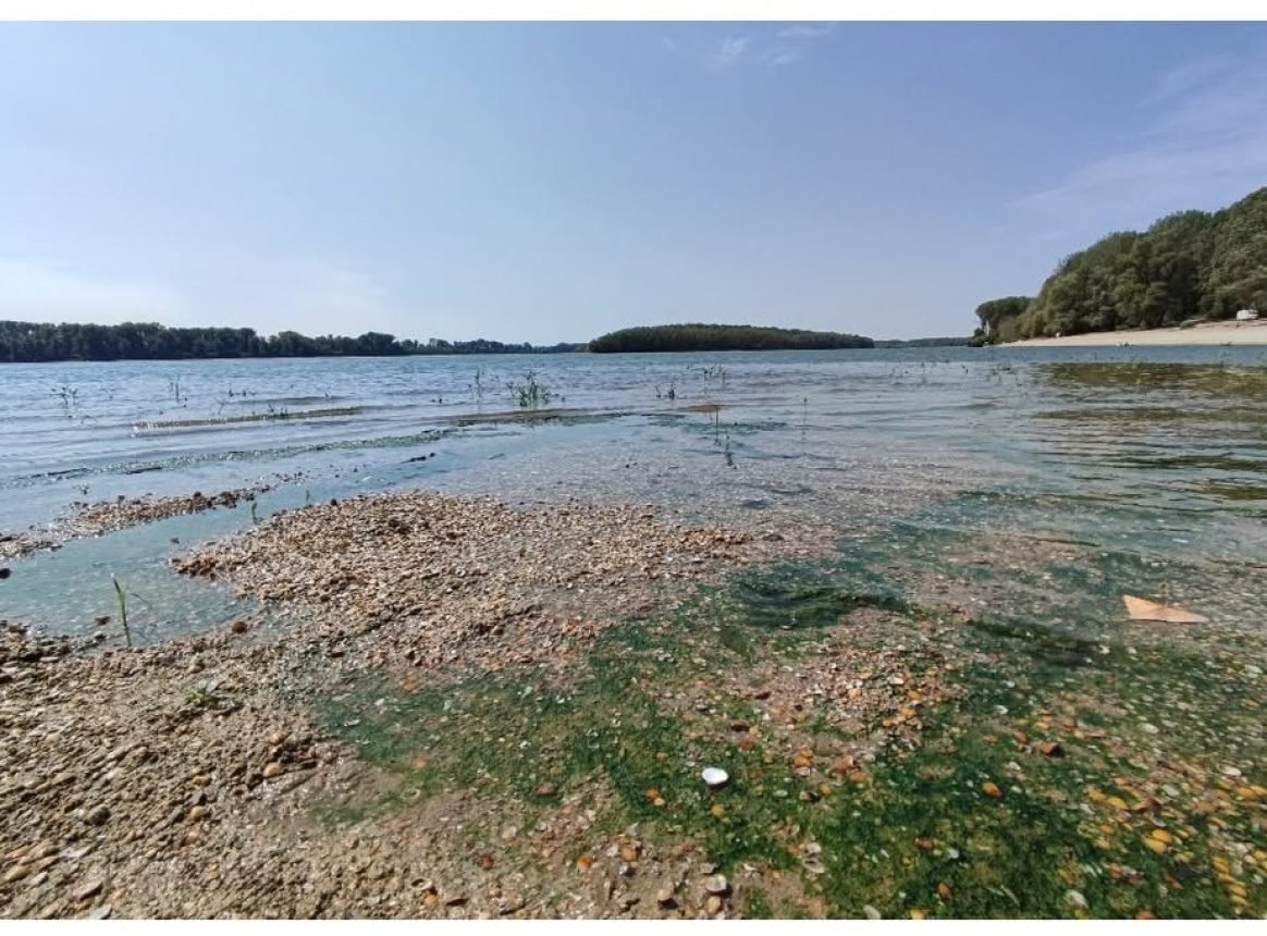 How does drought propagate along a European river? Lessons from the Danube