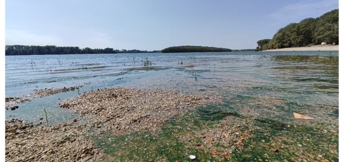 How does drought propagate along a European river? Lessons from the Danube