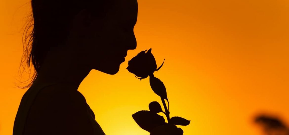 Why do roses smell so sweet? Locusts provide some insights into how we experience smell