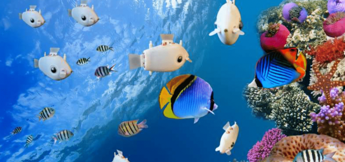 Forscher entwickeln Roboter-Fische, die empfindliche Ökosysteme erkunden können