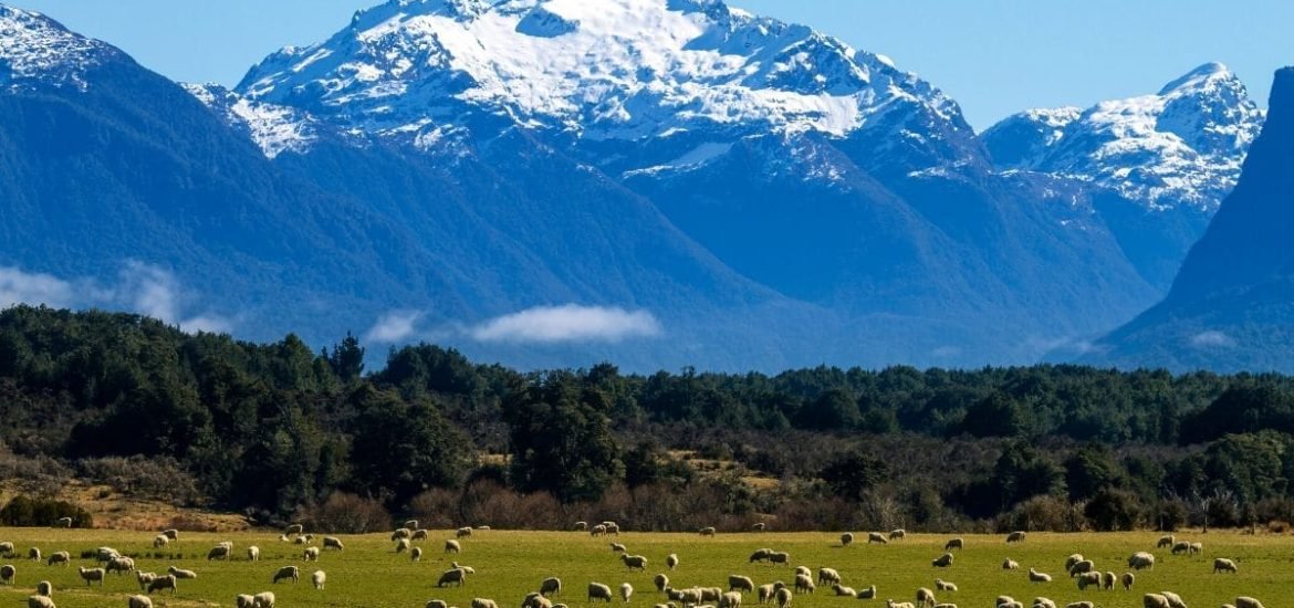 New Zealand applauded for passing ‘historic’ zero-carbon bill