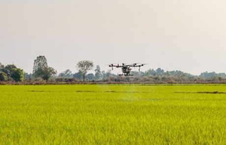 An Israeli startup is combining AI and drones to yield more fruit